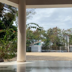 Tình đắng như ly cà phê