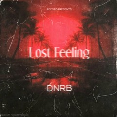 (DNRB) Lost Feelings (Feat TerioFromDaB)