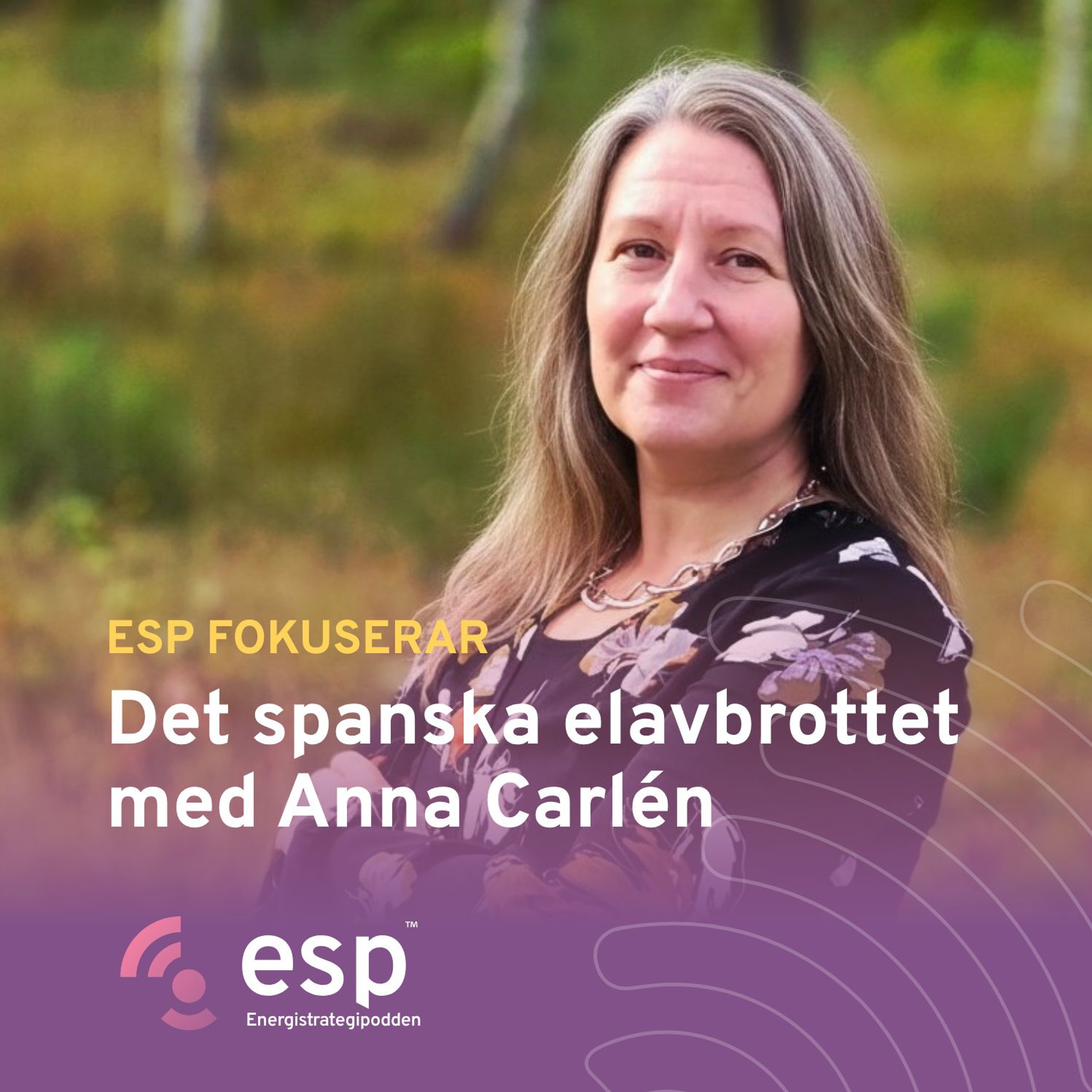 #353 - ESP fokuserar på det spanska elavbrottet med Anna Carlén på Energimarknadsinspektionen episode artwork