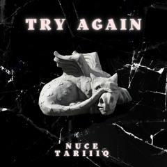 Try Again Feat. Tariiiq