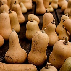 Minnie Speaks (From Minnie's Gourd Band)