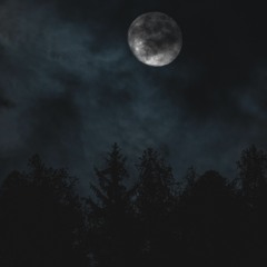 Something Strange Going On - Space Facts Wax