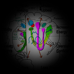 Hypomanic Hysteria