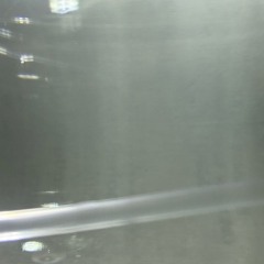 my lungs are attached to wires++e3dit