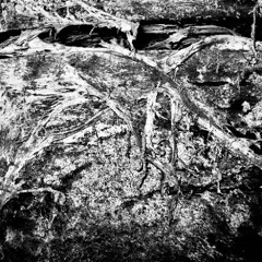 HAMA - ROT [FREE DL]