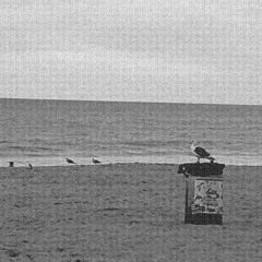 Don't Chase A Seagull (Demo)