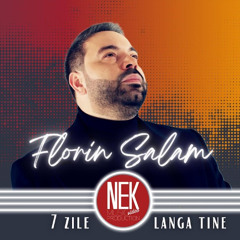 Florin Salam - 7 zile (Solo Beat Project Bootleg)