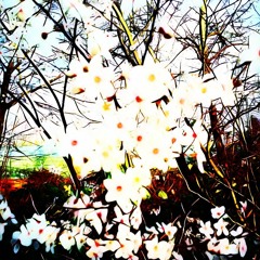 Deep Progressive Spring 2020