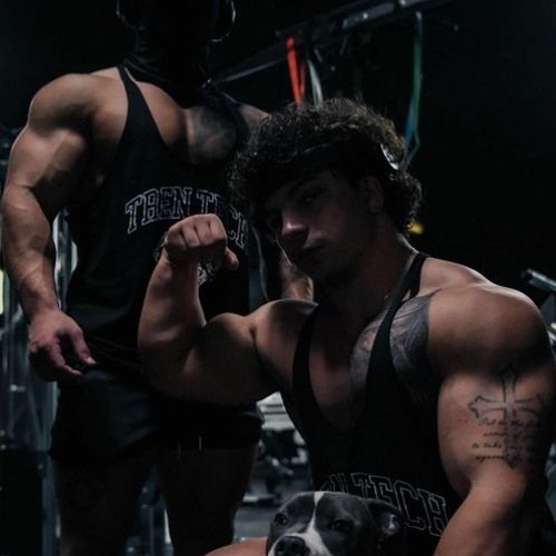 TREN TWINS HARDSTYLE - ANIZYZ X Heaven (bablian edit)