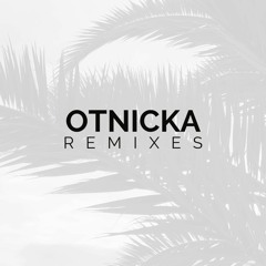 Otnicka - Cocktails & Dreams (Petryakov Remix)