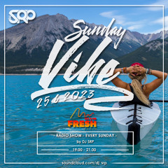 SUNDAY VIBE 25.6.2023 - RADIO SHOW by DJ SRP (FRESH radio 103,6FM)
