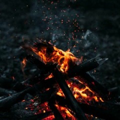 Homayoun Shajarian - Flaming ❤🎈