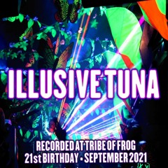 Illusive Tuna - Recorded at TRiBE of FRoG 21st Birthday (Room 6 - PsyDub)