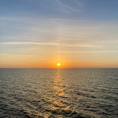 Notions w/ Andrew Devine - November 2022