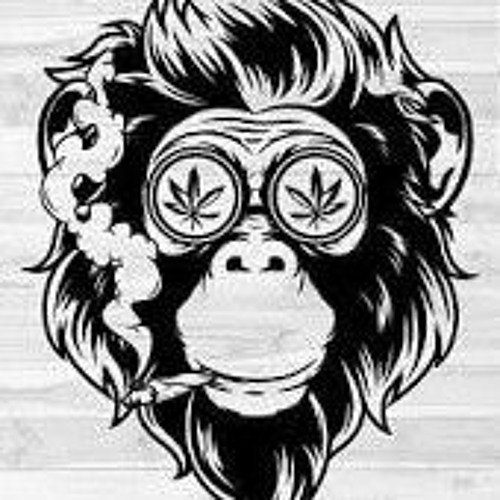 TRIGGER DECK DZA