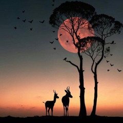 Chus & Ceballos, Dario DÁttis with...Heart of Afrika..remake by Willian J. 2025