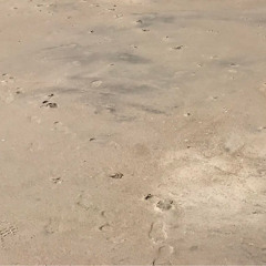 Intimate, Poetic, Timeless - Hidden Beach