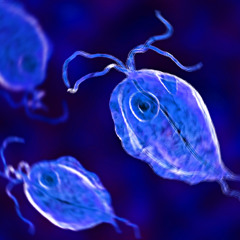 The Thing That Lives In David's Mustache (5/17/24)