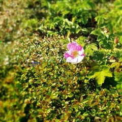 humans makes mistackes mix