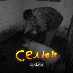 селюк