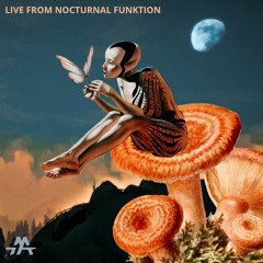 Live From Nocturnal Funktion (Dj Set)