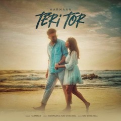 Teri Tor - Harmaan