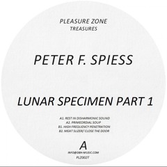 PLZ002T - PETER F. SPIESS - LUNAR SPECIMEN PART 1 (PLEASURE ZONE TREASURES)
