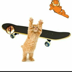 SLAYING PUSSY IN MY SKATEBOARD