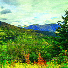 The Killer's Recital, and Fields Under Vanilla Skies