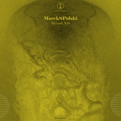 GYNOID251 02. MarekSPolzki - L01 (Original Mix)