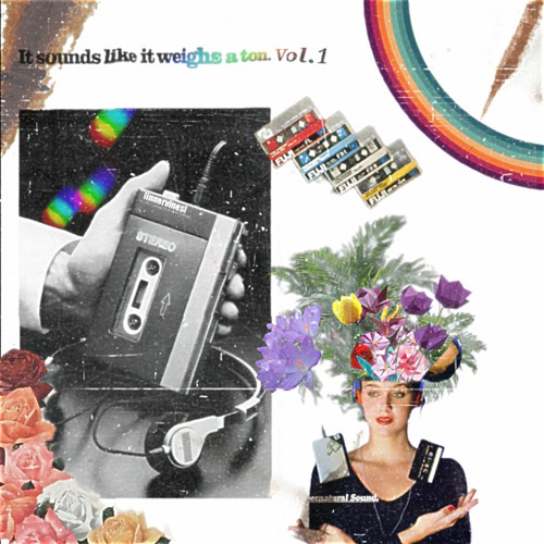 Little Simz - Gorilla (innervines Flip)