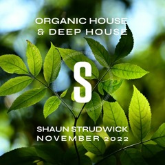 Organic House & Deep House Mix - November 2022