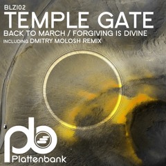 BLZ102 Temple Gate - Back to March / Forgiving is Divine Including Dmitry Molosh remix (Previews)