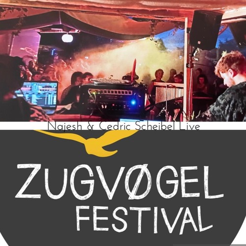 Najesh b2b Cedric Scheibel (live) @ Zugvøgel - Festival 2023