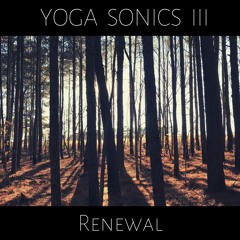 Peace Within (featuring Yoga Sonics)
