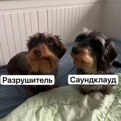 андеркавер