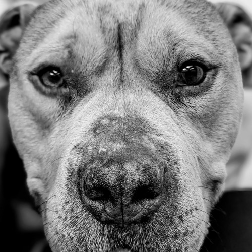 Gzav Back To Techno 137 to 145bpm  REC - 2023 - 04 - 10