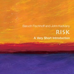 ePub/Ebook Risk: A Very Short Introduction BY : Baruch Fischhoff & John Kadvany