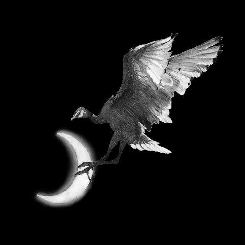 Black Haze by Ian F.