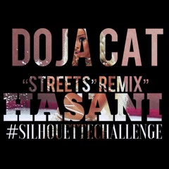 Doja Cat - Streets (Remix)@therealhasani