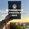 EDC LAS VEGAS 2025 MIX (Max Styler, Odd Mob, Argy, Dom Dolla, Chris Avantgarde) DJ mix artwork - Electronic music tracklist cover image