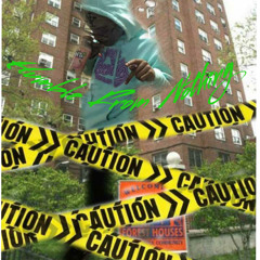 Duey Finnese ~ Toasterday