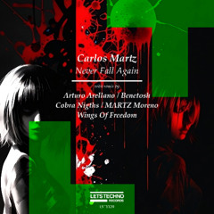 Carlos Martz - Never Fall Again (Original Mix)