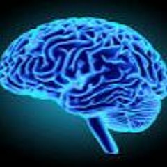 Brain Stamper