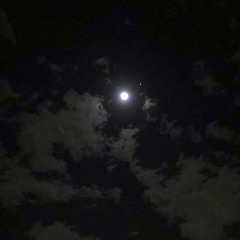 moonlight memory - JUL33N