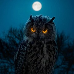 Nocturnal