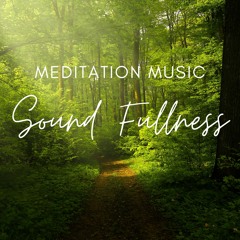 Forest Spirit 528Hz E Major Session