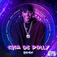 OH POLEMICO  - CRIA DO POLLY ( LEANDRO NETTO DJ / FDH REMIX ).mp3