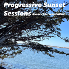 Progressive Sunset Sessions (Sunday Afternoon Edition) 9