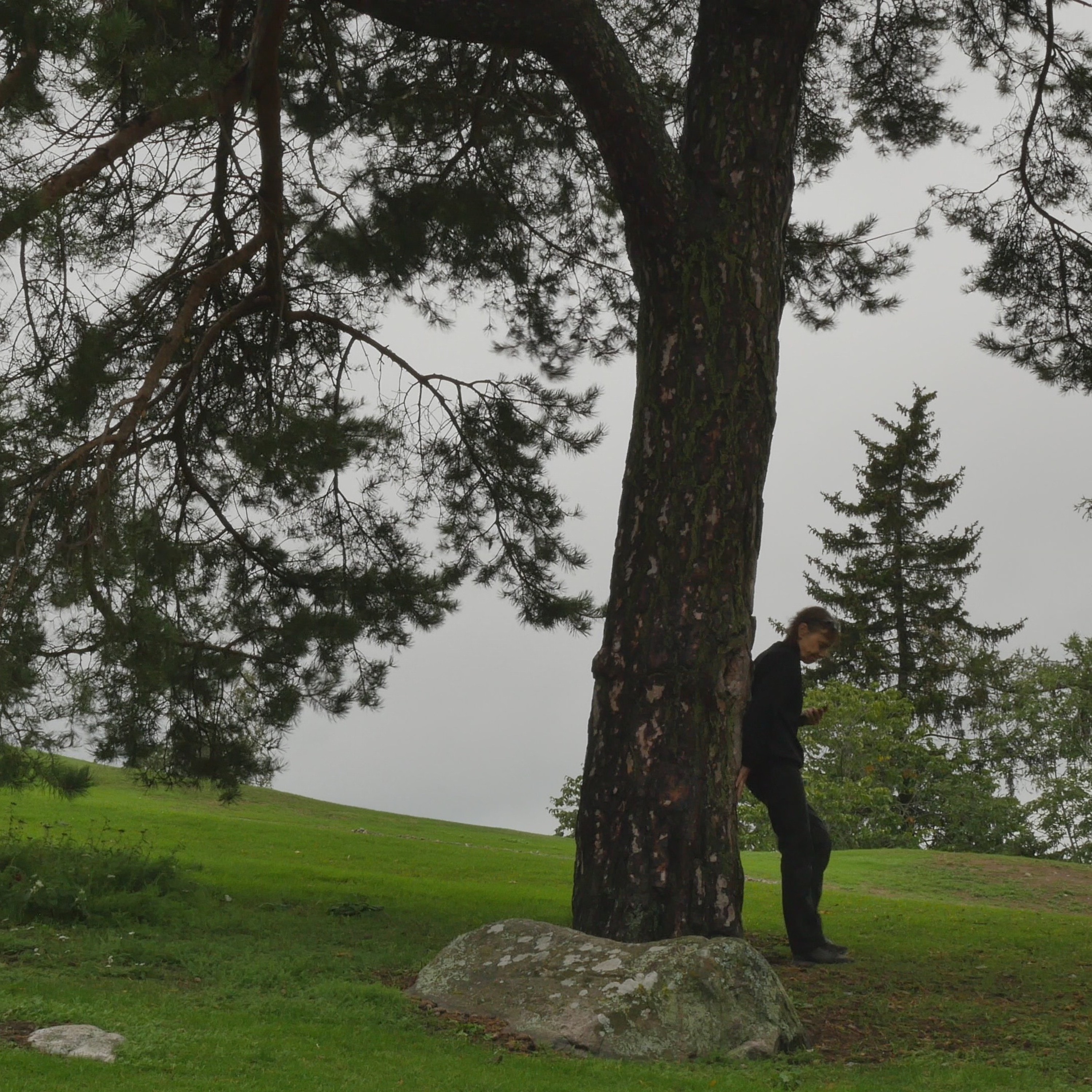 Pondering With A Pine In The Park - 15 episode artwork